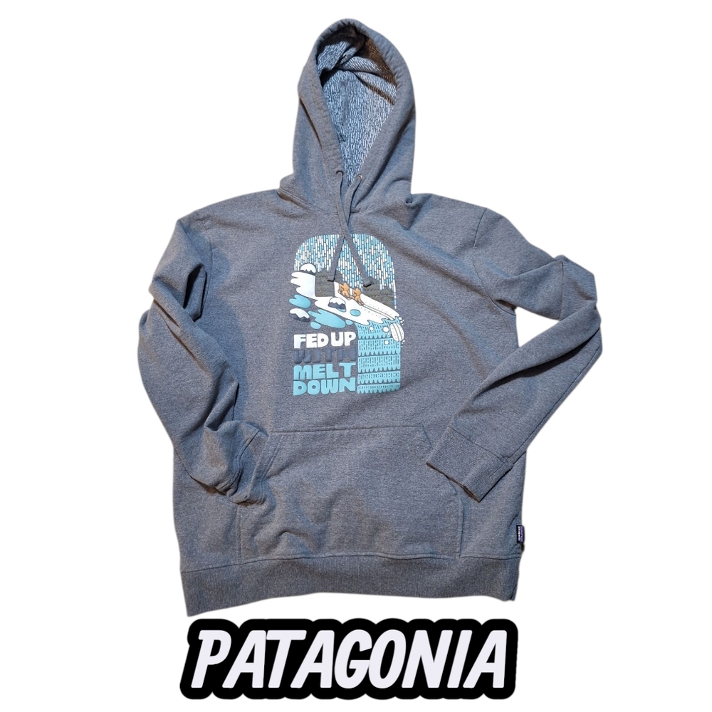 Patagonia Gray Hoodie for Men